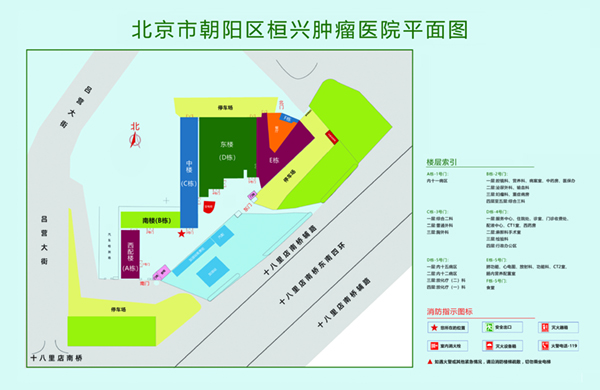 小舞插入啊疼艹北京市朝阳区桓兴肿瘤医院平面图